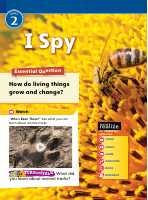 mV20_EN_NA_G1_Student_Interactive_Unit_2_web.pdf.pdf